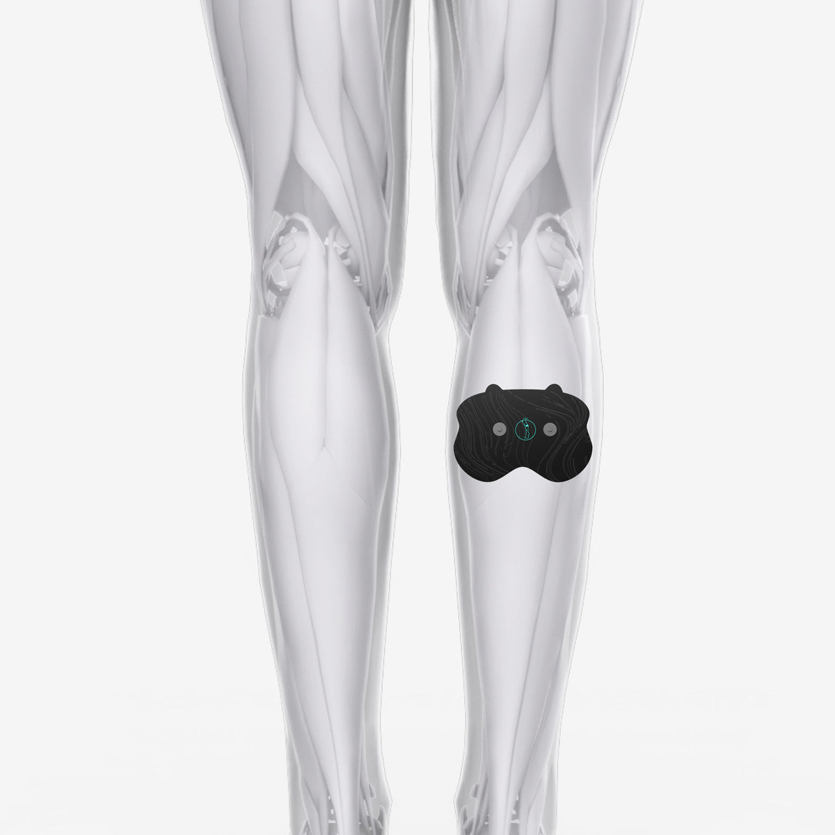 Chirp Halo Calf Pad Placement