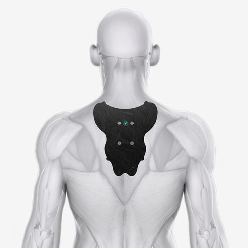 Chirp Halo Upper Back Pad Placement