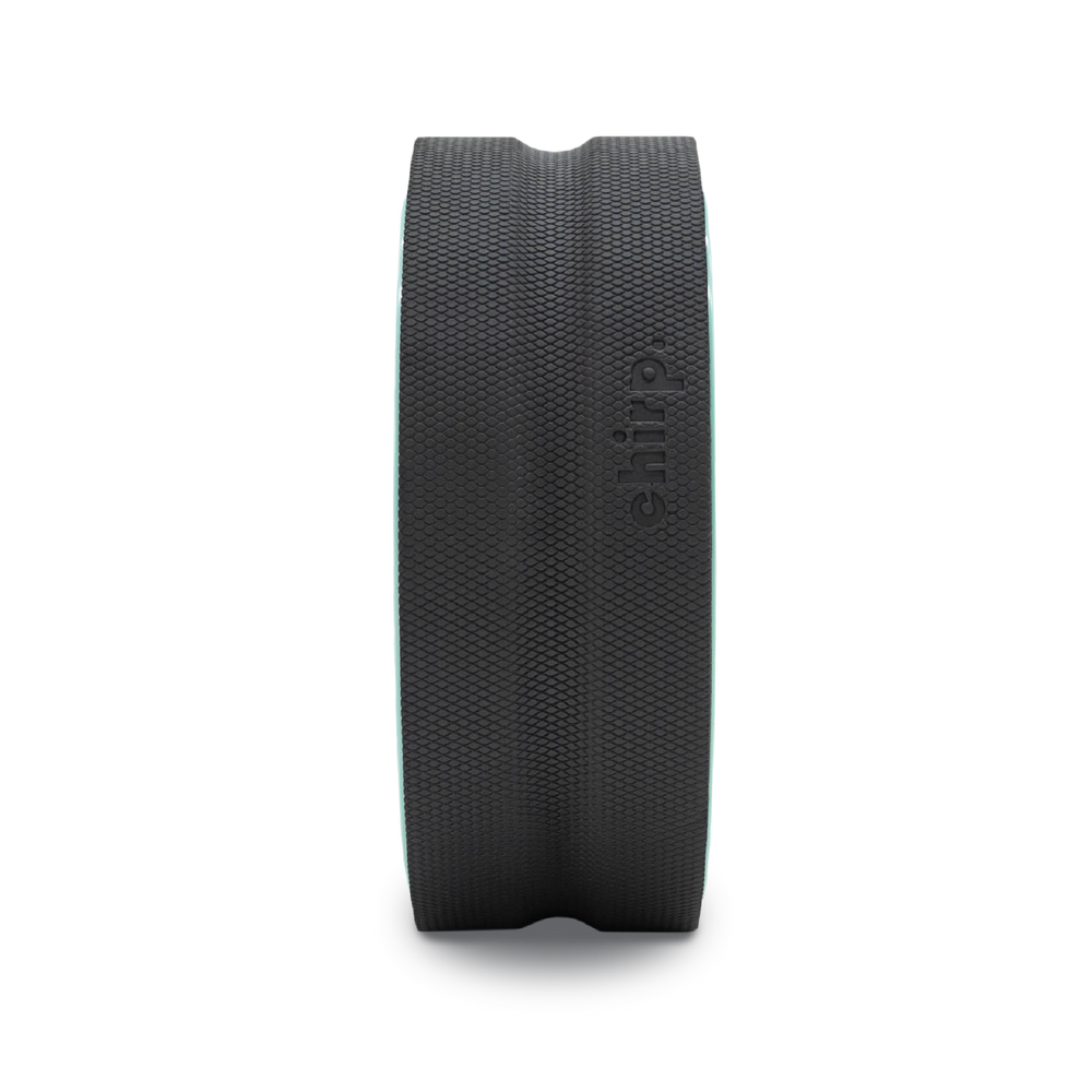 Open Box Chirp Wheel+ 12" Gentle