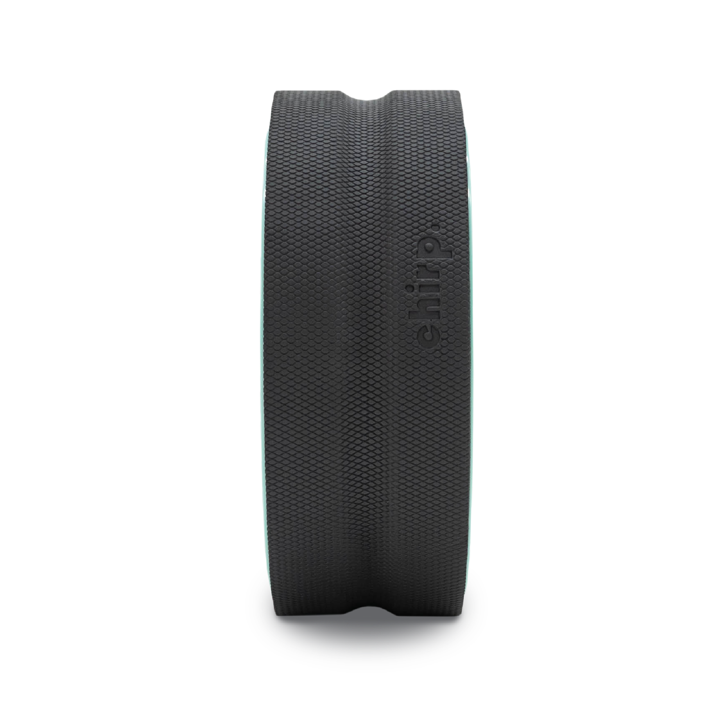 Open Box Chirp Wheel+ 12" Gentle