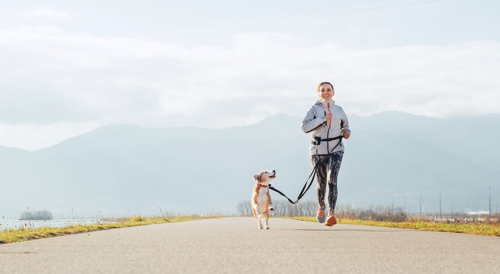 How to Keep Your Dog’s Back Happy (Because Yours Already Is)