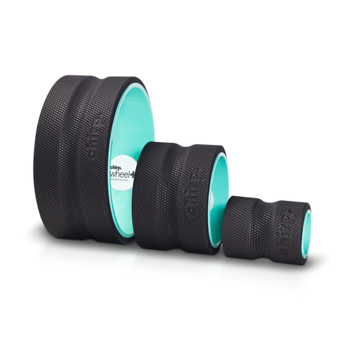 Chirp Wheel 3-Pack rated 4.8 out of 5 by over 13,000 customers