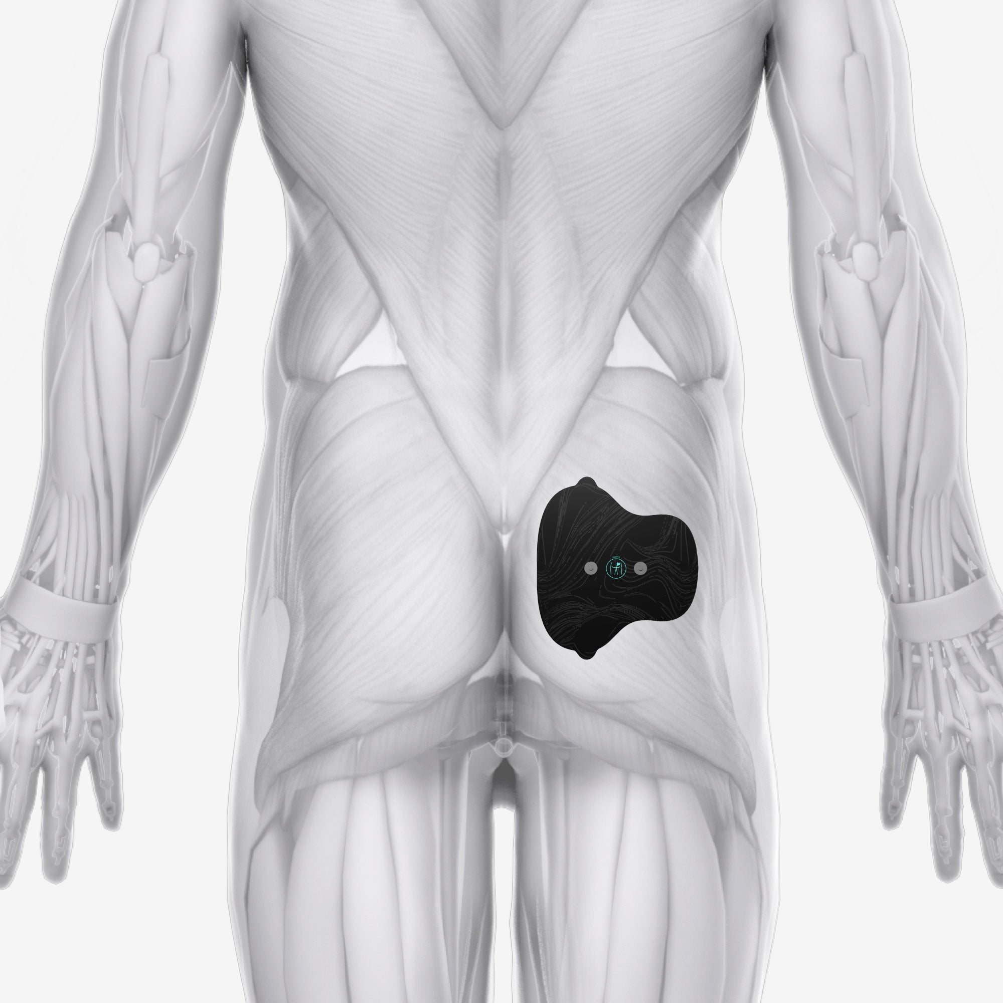 Lower Body Bundle – Chirp™