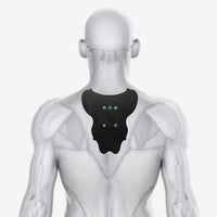 Upper Body Bundle