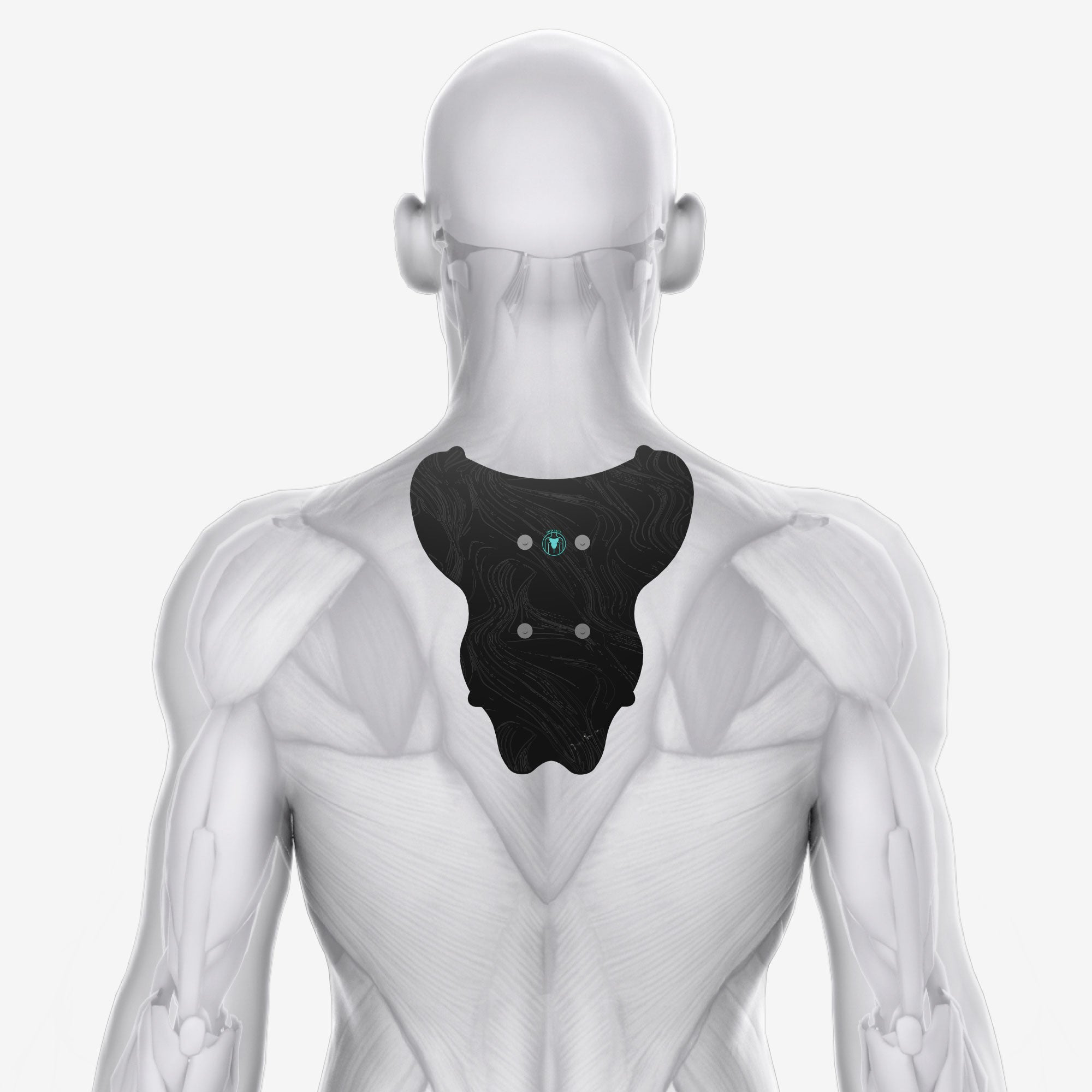 Halo Upper Back Pad Set – Chirp™