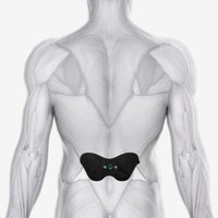 Upper Body Bundle