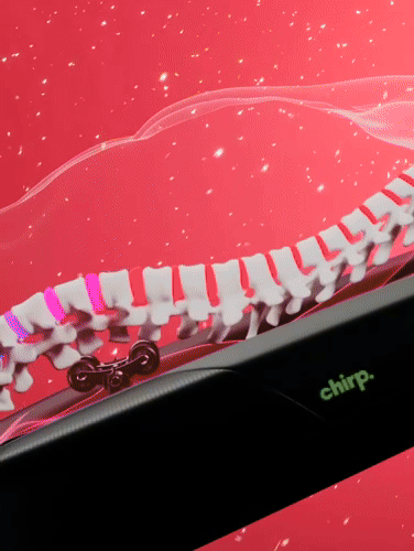 Chirp Contour | Decompression & Massage Table