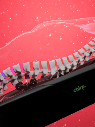 Chirp Contour | Decompression & Massage Table
