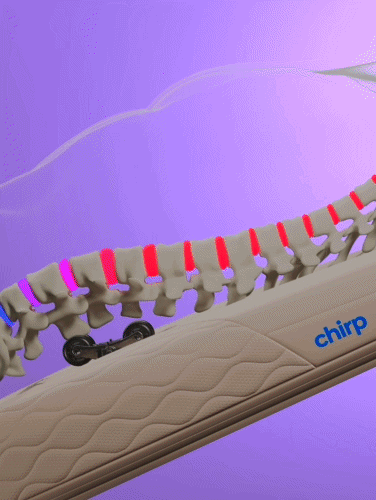 Chirp Contour | Decompression & Massage Table