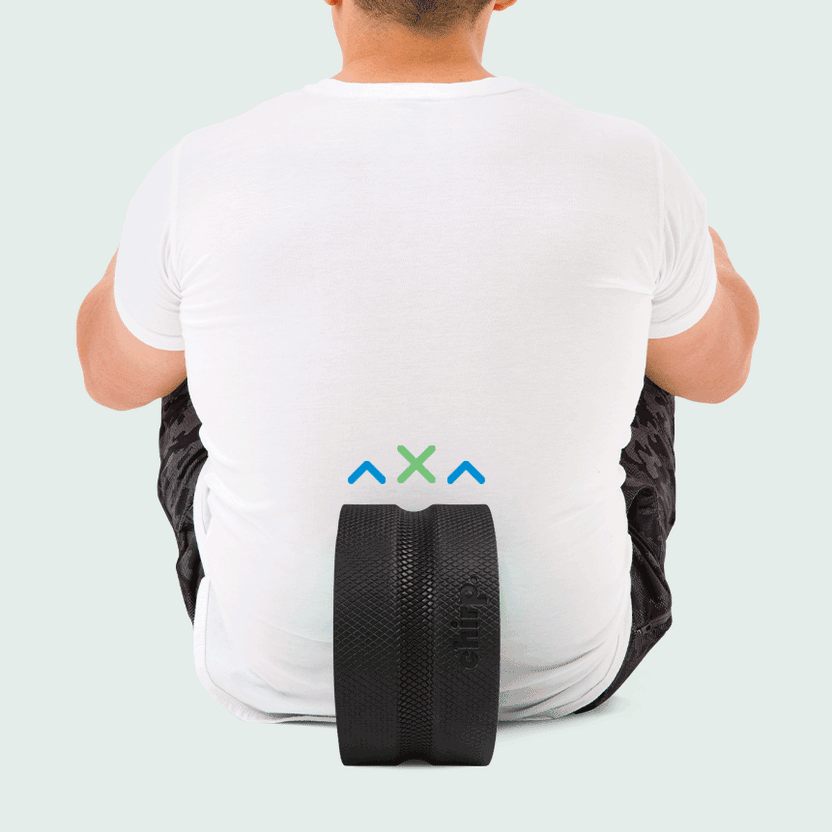 Chirp Wheel Pro ™ Chirp™