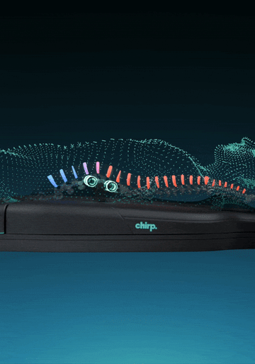 Chirp Contour | Decompression & Massage Bed