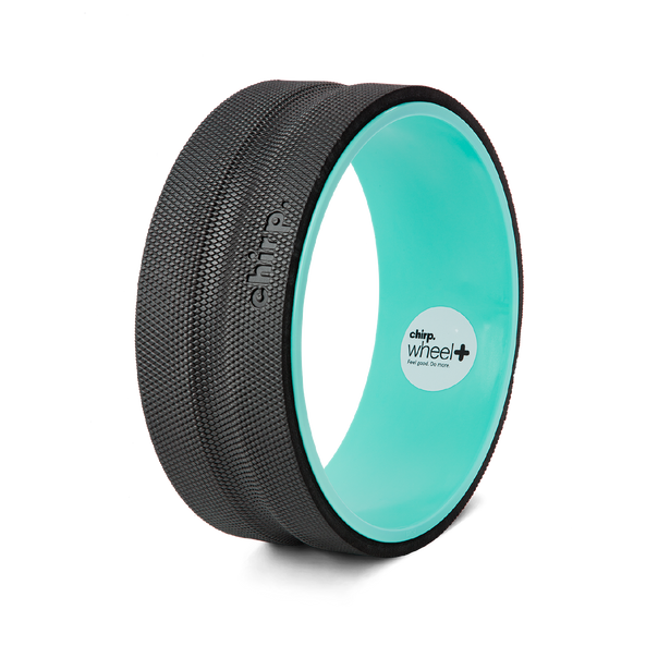 Open Box Chirp Wheel+ 12" Gentle