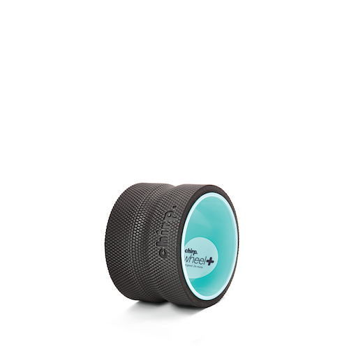 Retail - Chirp Wheel Plus 6"