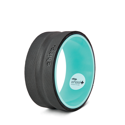 Retail - Chirp Wheel Plus 10"