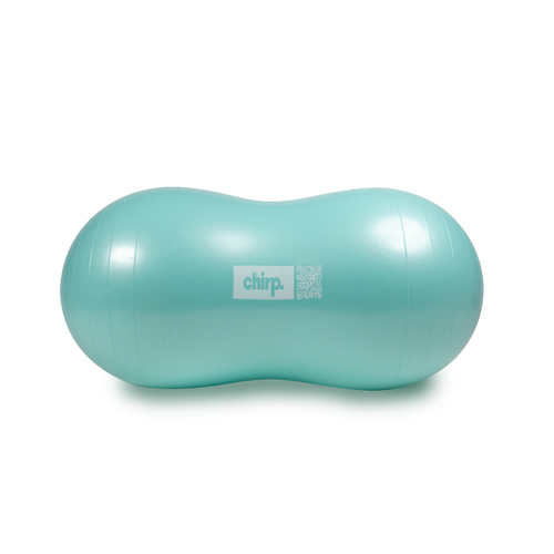 Chirp Cloud 2-Pack