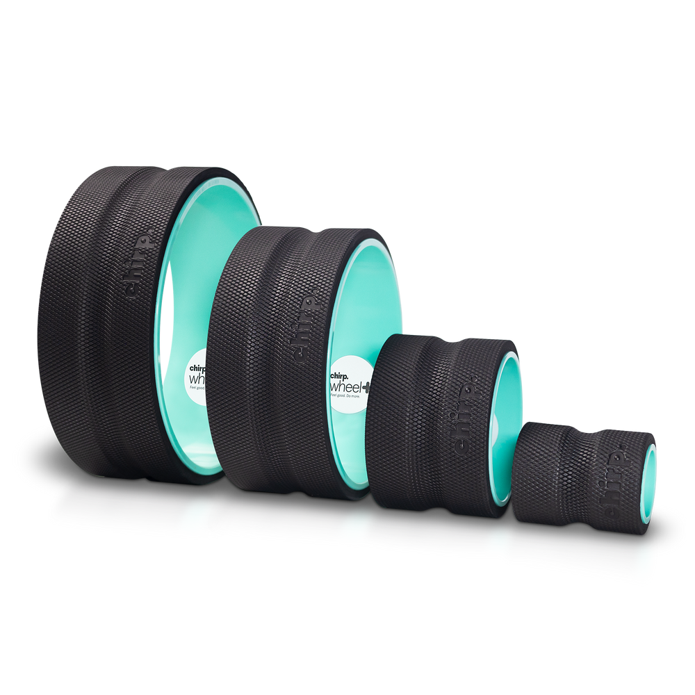 Chirp Wheel+ 4-Pack Side - Mint