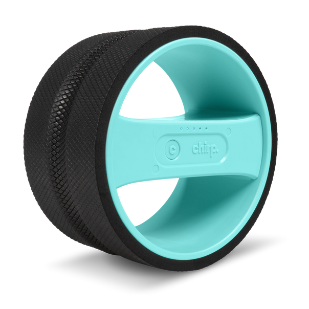 Chirp Wheel Pro - Mint