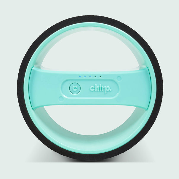 Chirp Wheel Pro Facing - Mint