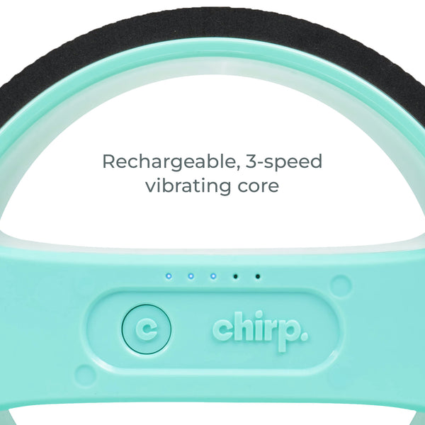 Chirp Wheel Pro Settings - Mint